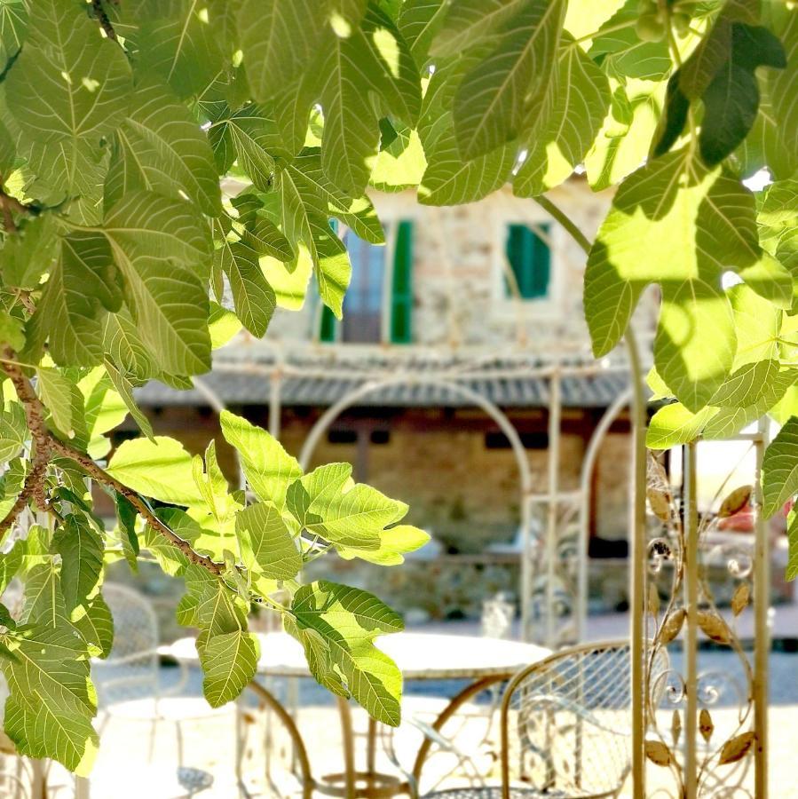 Fattoria Tolomei Campagnatico Εξωτερικό φωτογραφία