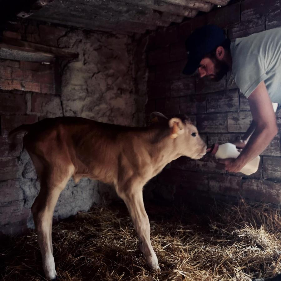 Fattoria Tolomei Campagnatico Εξωτερικό φωτογραφία