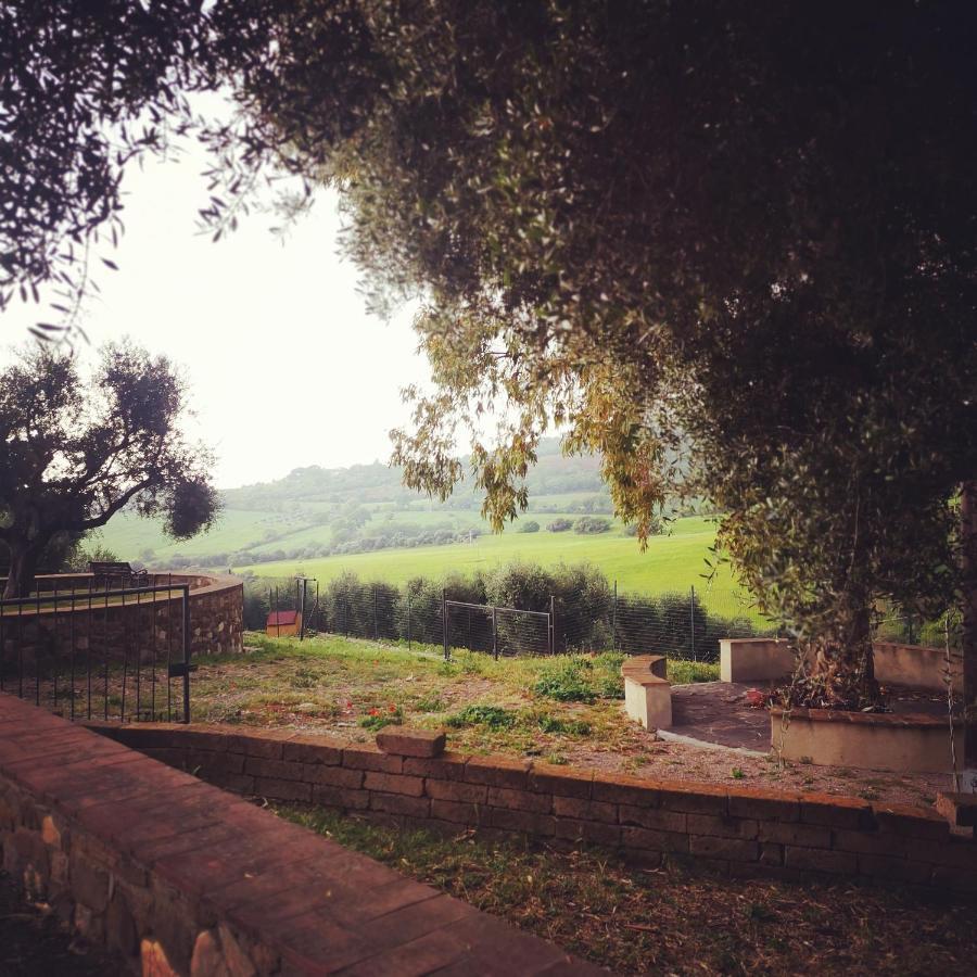 Fattoria Tolomei Campagnatico Εξωτερικό φωτογραφία