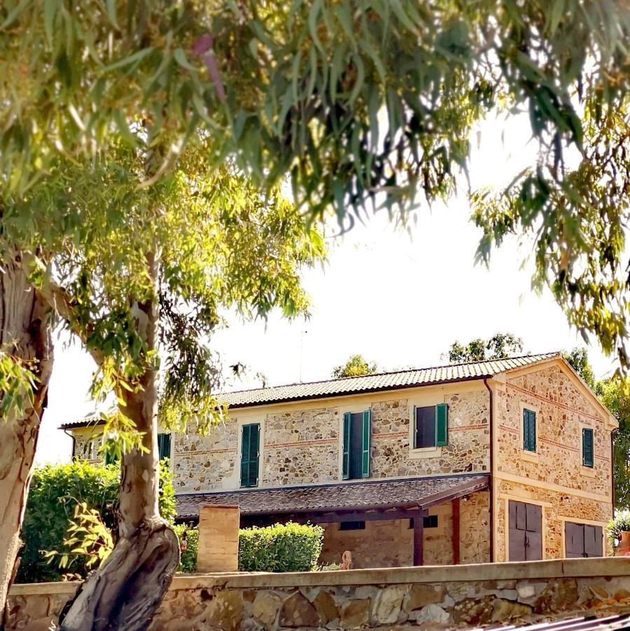 Fattoria Tolomei Campagnatico Εξωτερικό φωτογραφία