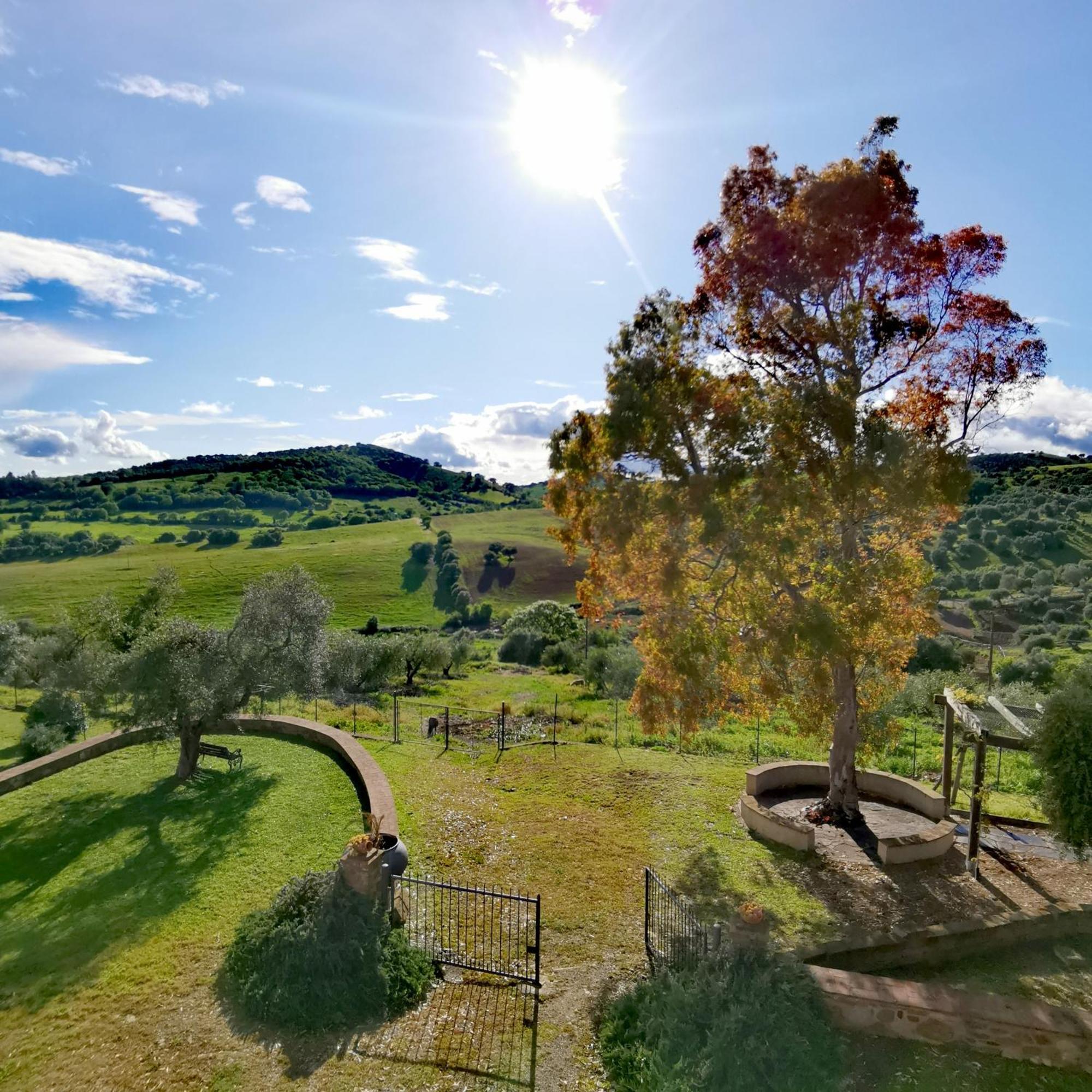 Fattoria Tolomei Campagnatico Εξωτερικό φωτογραφία