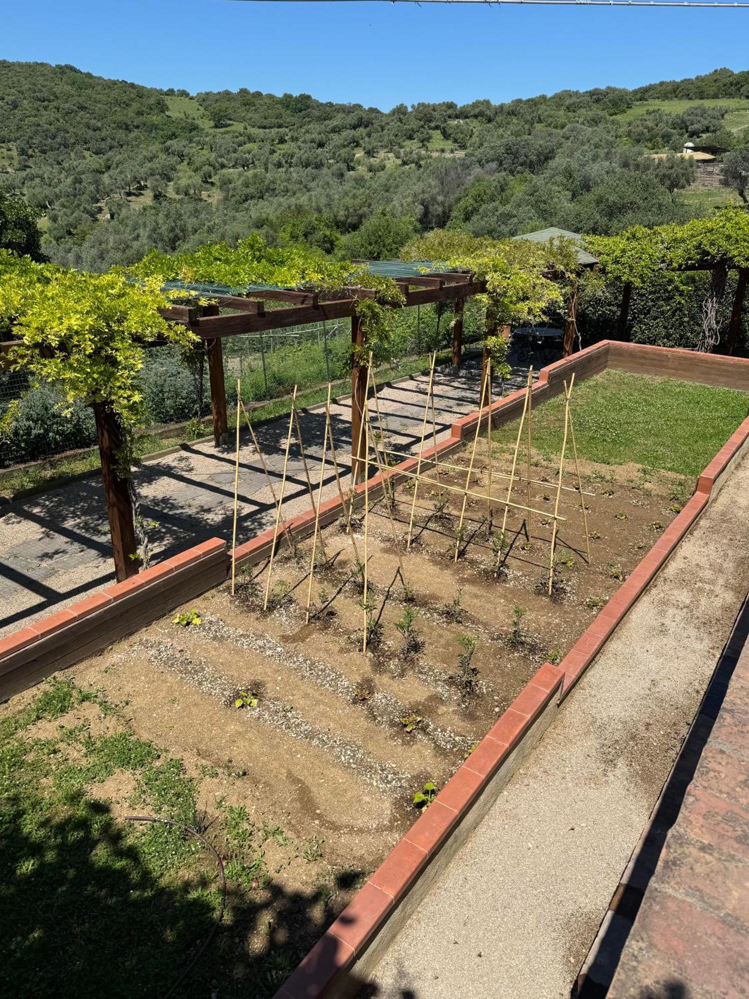 Fattoria Tolomei Campagnatico Εξωτερικό φωτογραφία